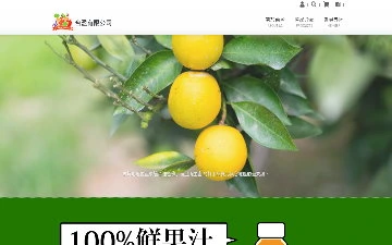 台盈有限公司網站設計作品