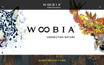 Woobia網站設計作品